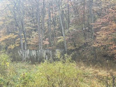 100 Drakes Run Rd