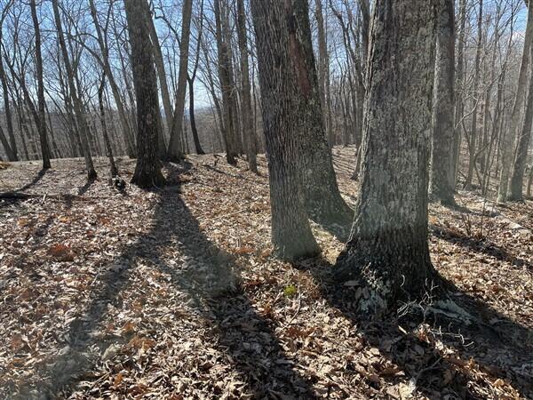 Image 2: IMG_6865
