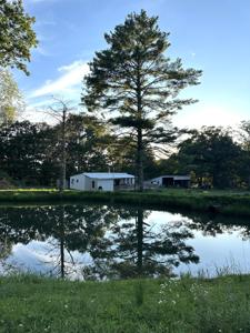 380 Rehm'S Mtn Rd.