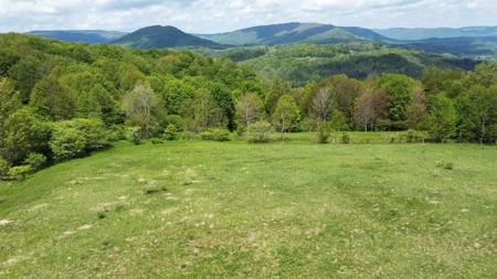 Lot 1004 Sunset Mountain Village
