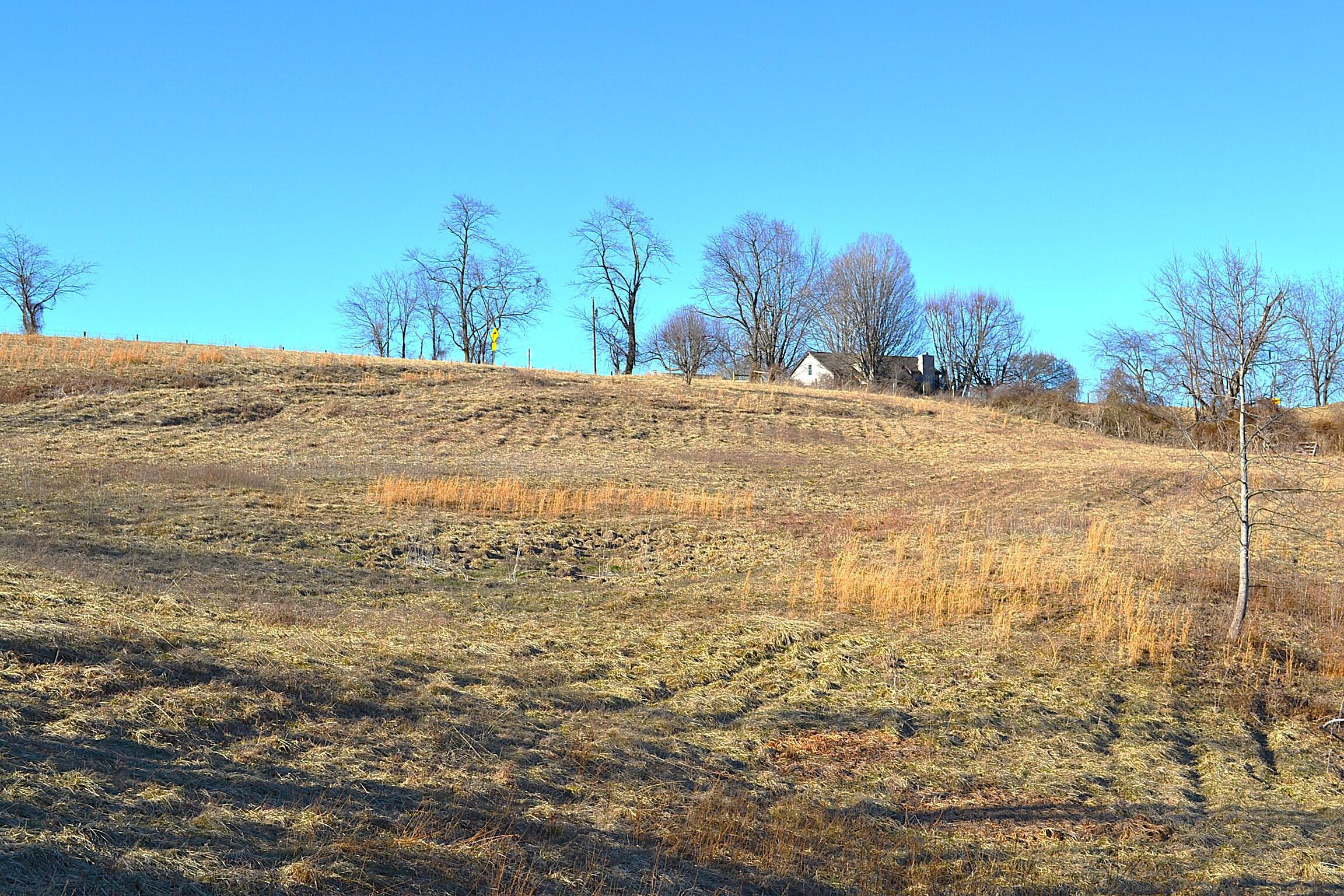 Image 4: Land View