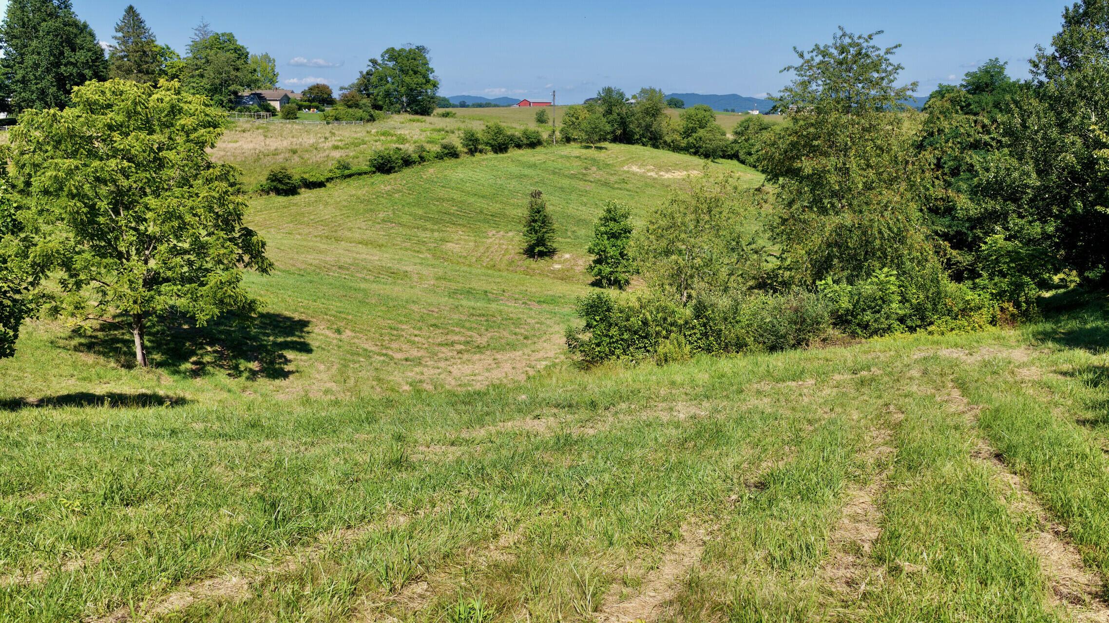 Image 4: Land View
