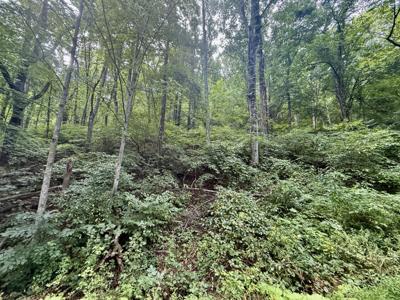 63 Fairway View Dr