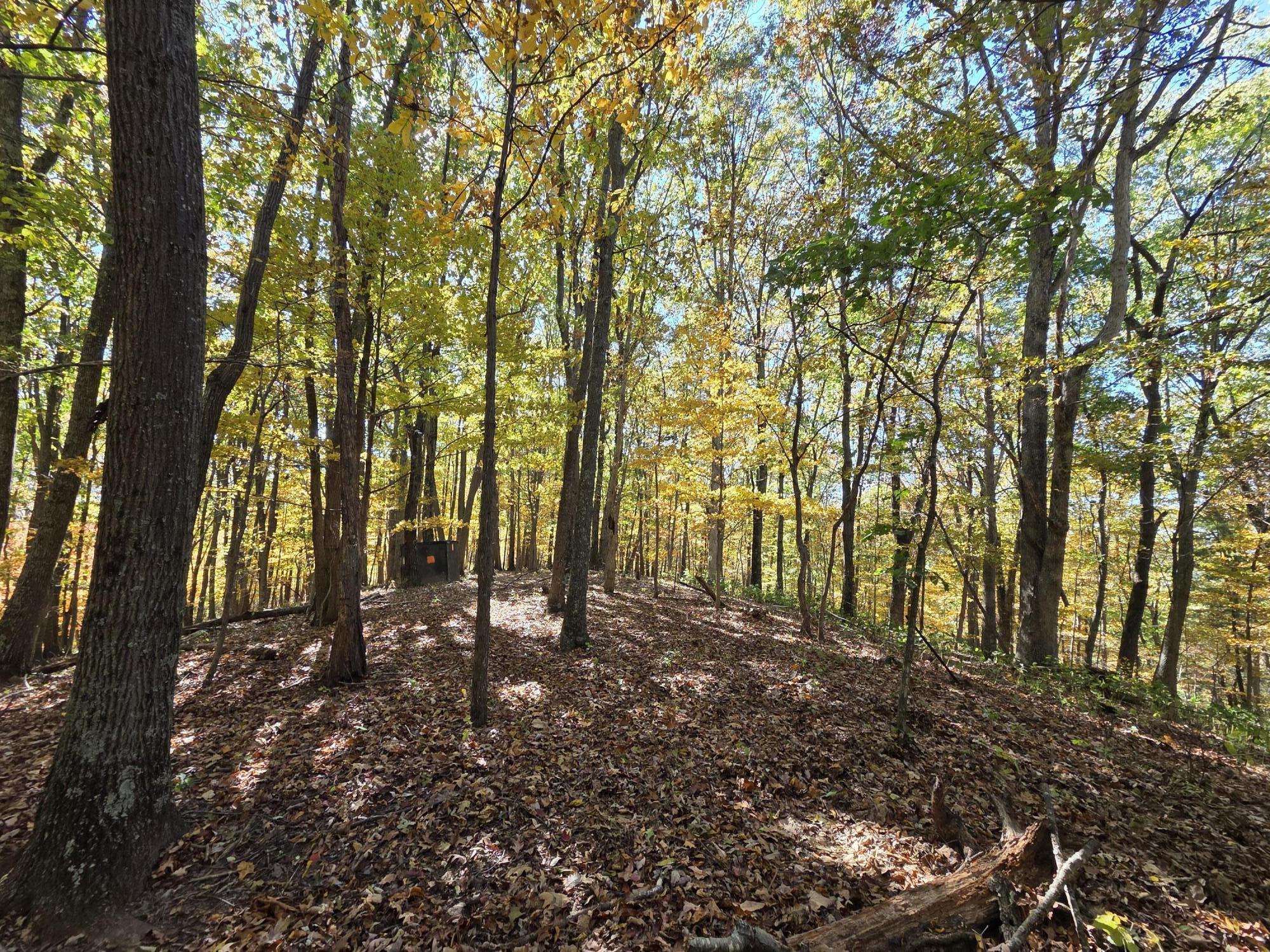 Image 4: hunting blind