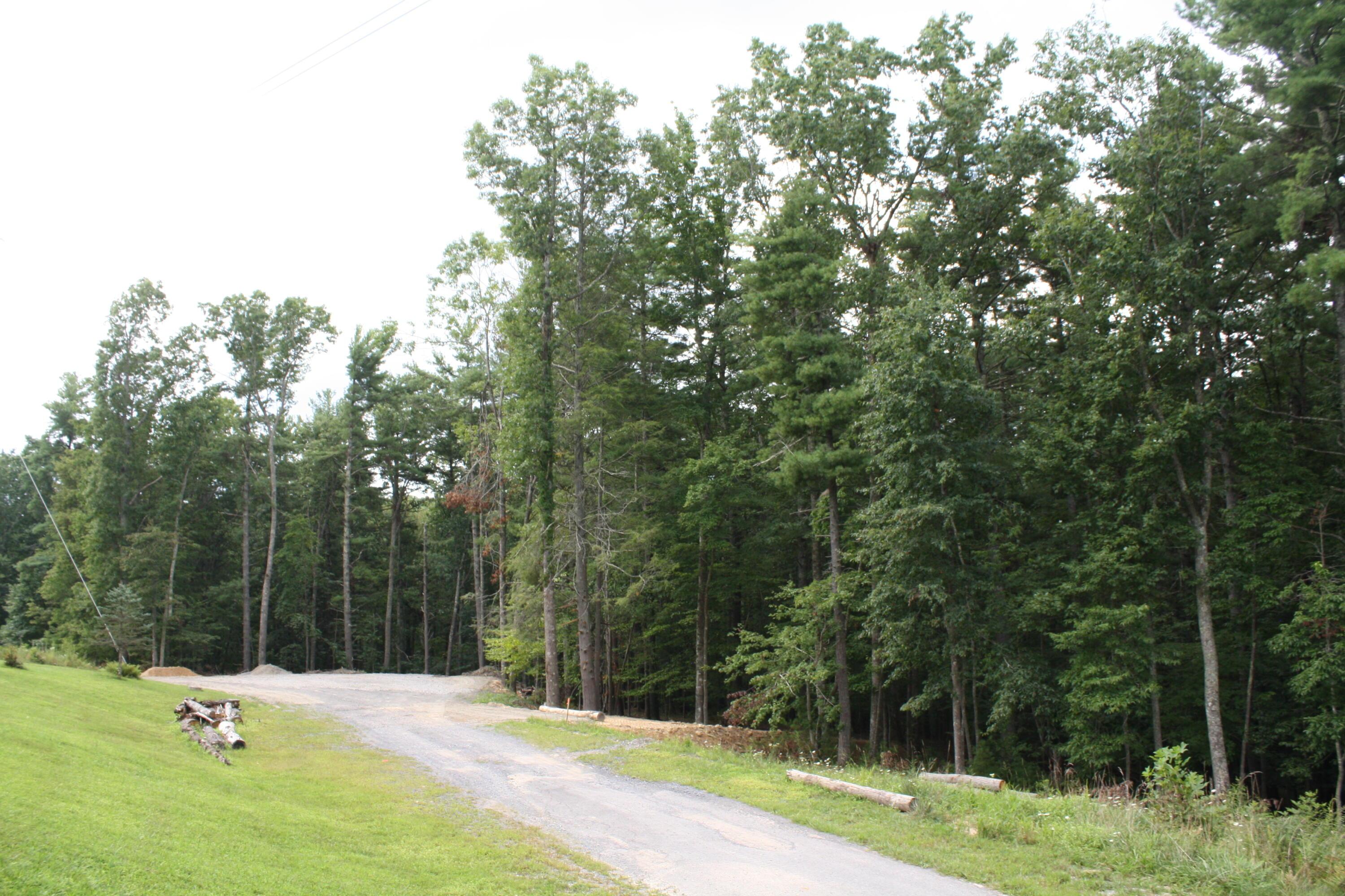 Image 3: IMG_9790