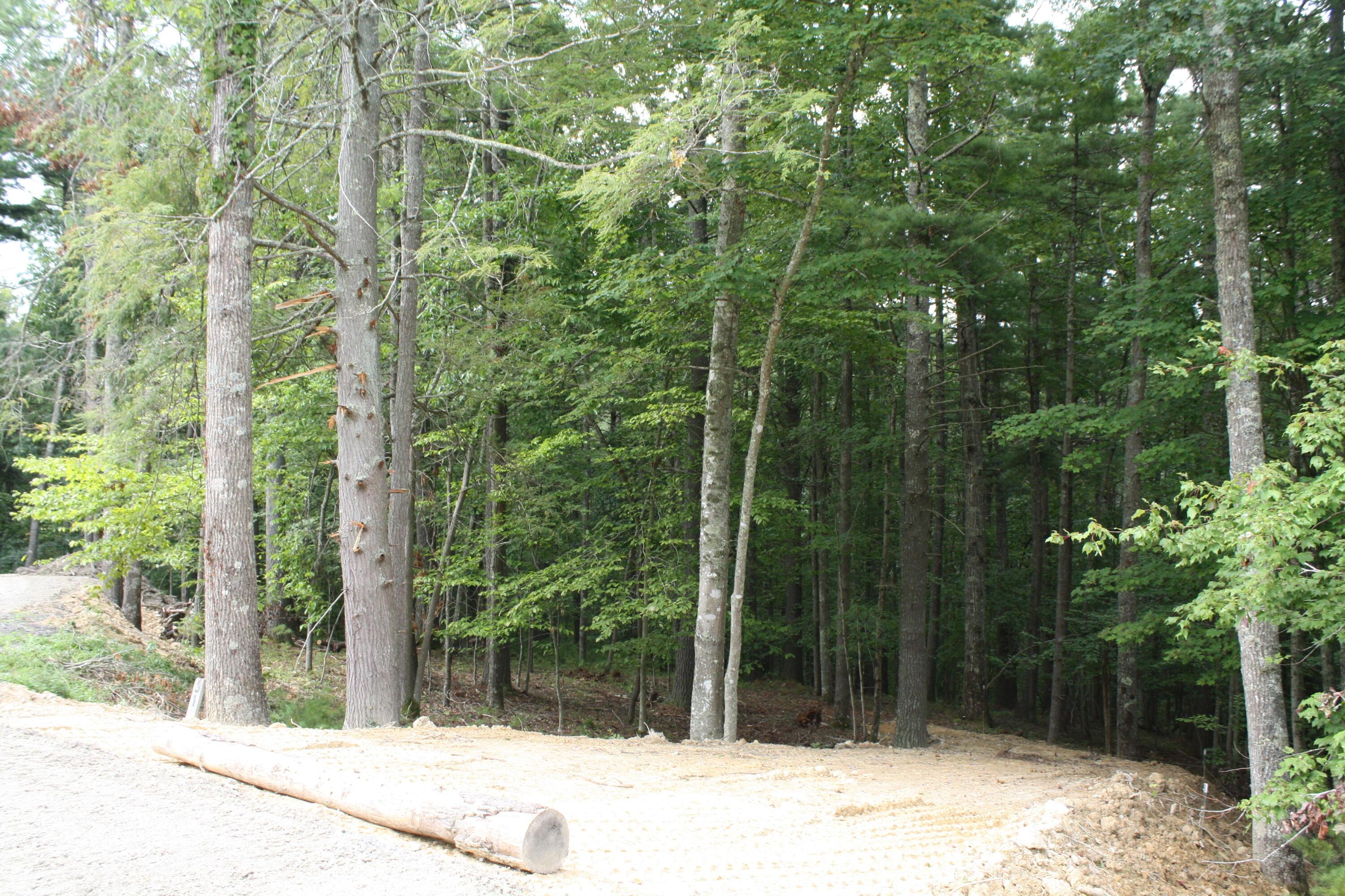 Image 4: IMG_9791