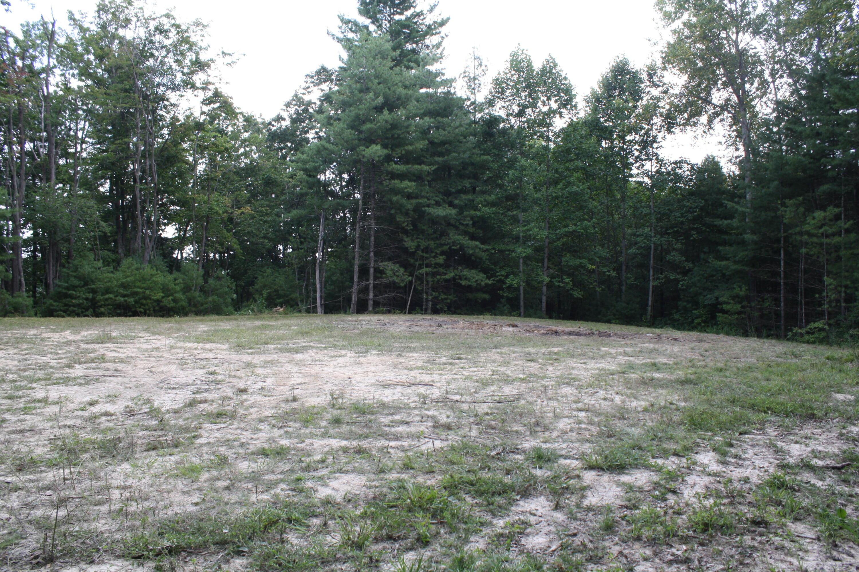 Image 3: IMG_9782