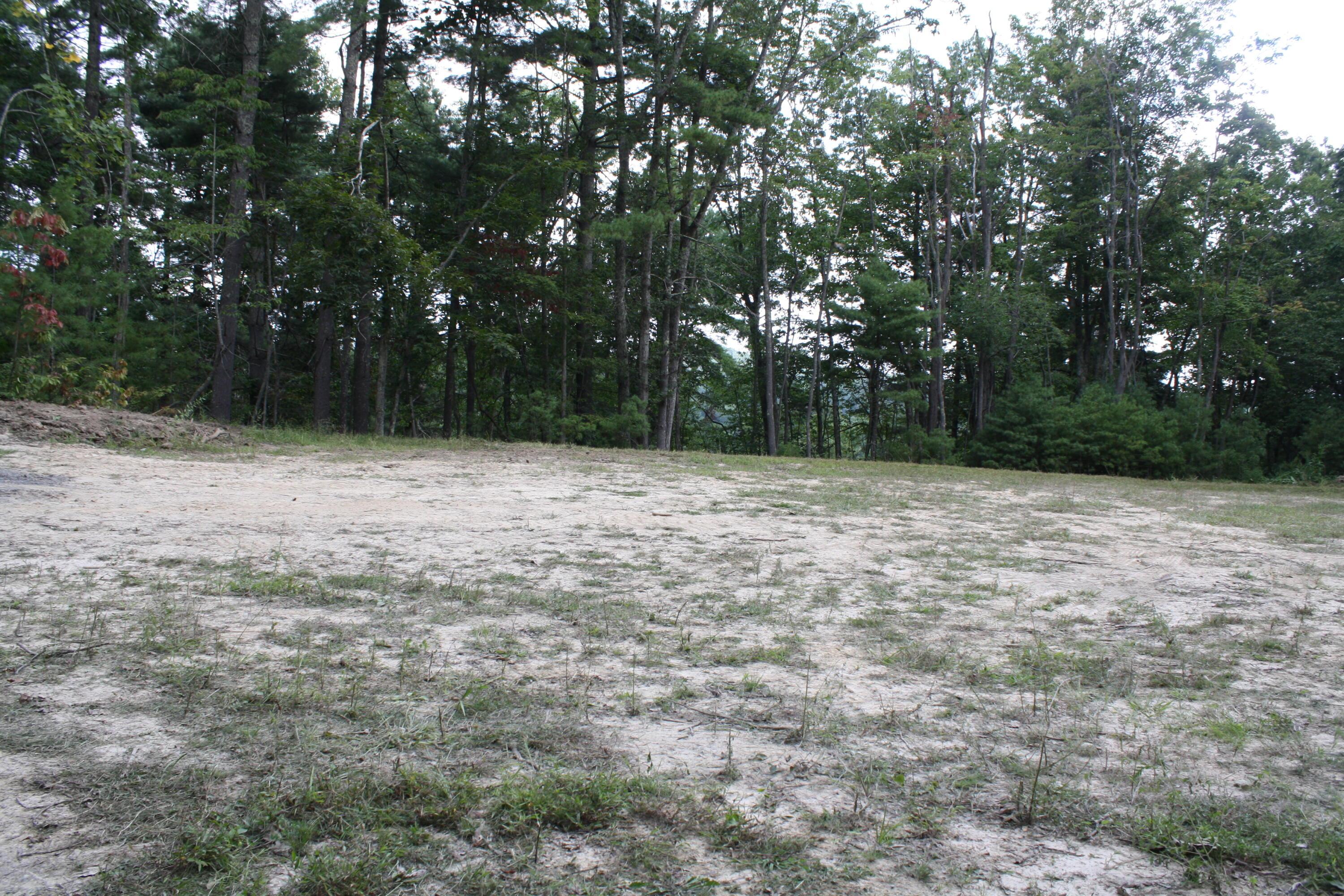 Image 4: IMG_9783