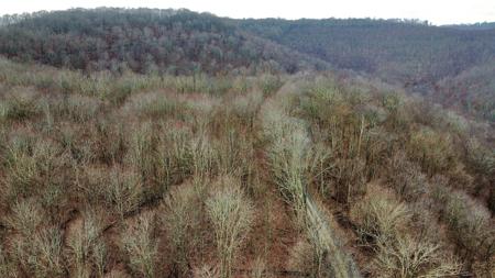 Russellville Rd