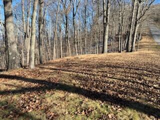 Image 2: View of Lot 80