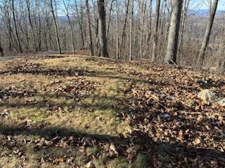 Image 3: View of Lot 80
