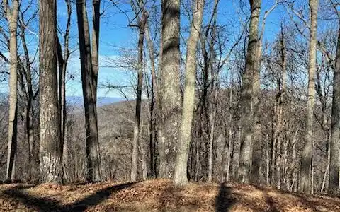 Image 4: View of Lot 80