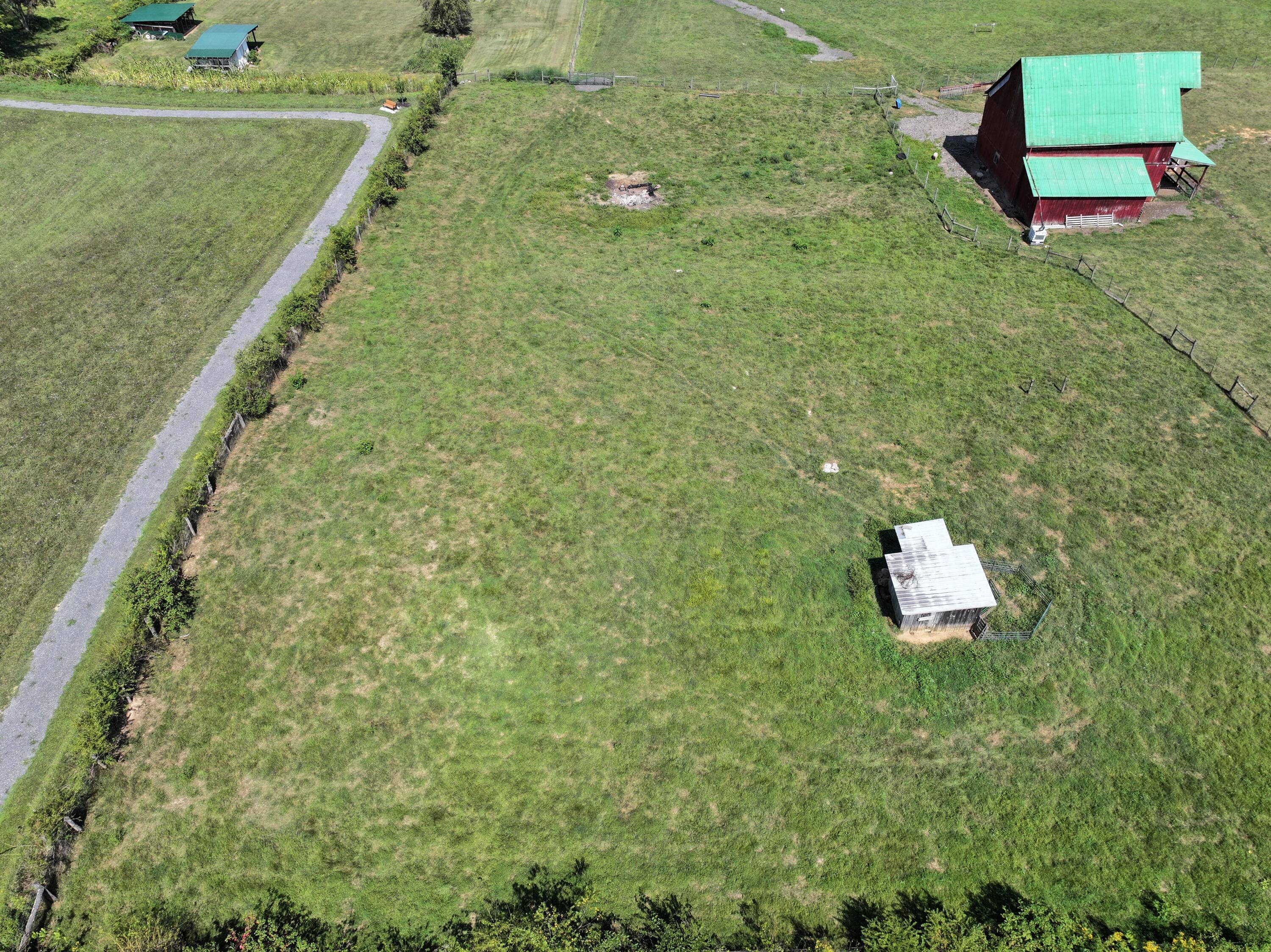 Image 2: Lot 1 pic 2