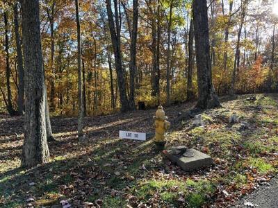 Lot 111 Trillium Ln