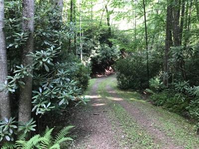 Duncans Landing