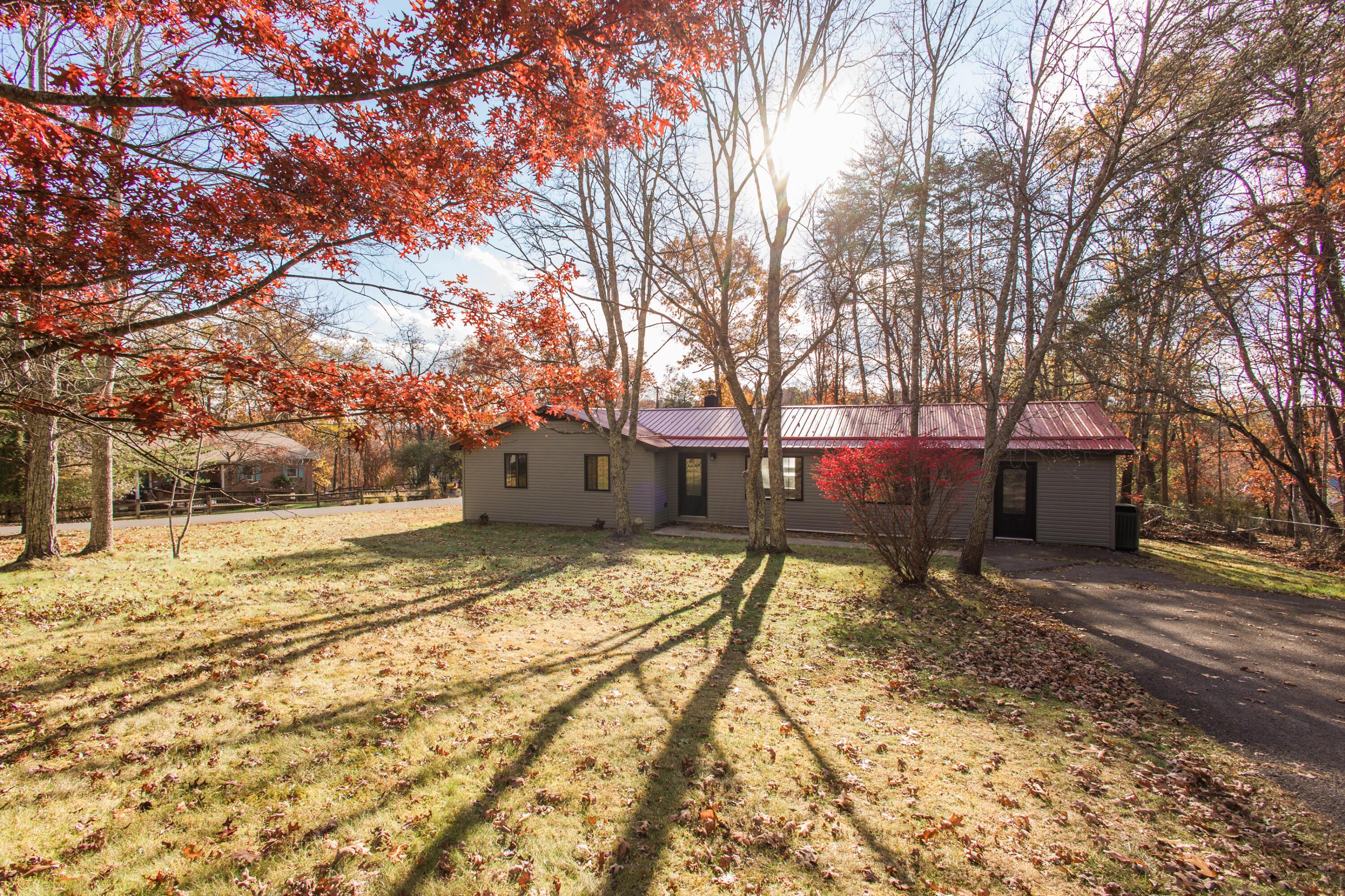 Image 4: 377MacklePt-143