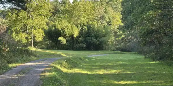 Image 3: driveway & entry way of property
