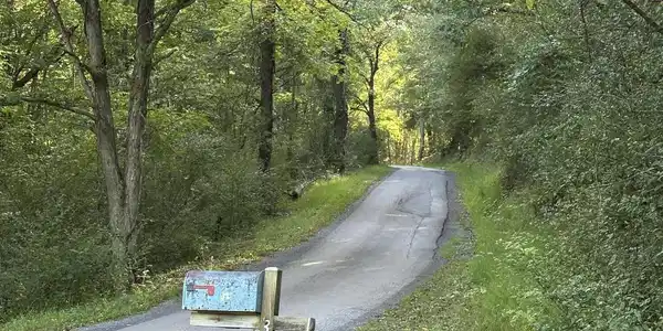 Image 4: Julia county Road