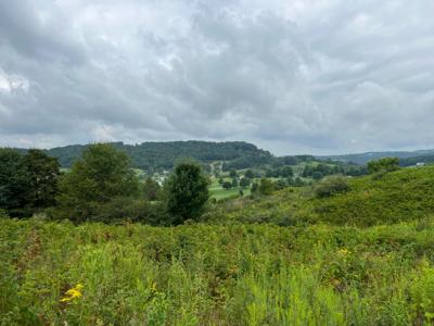 Fairway View Drive