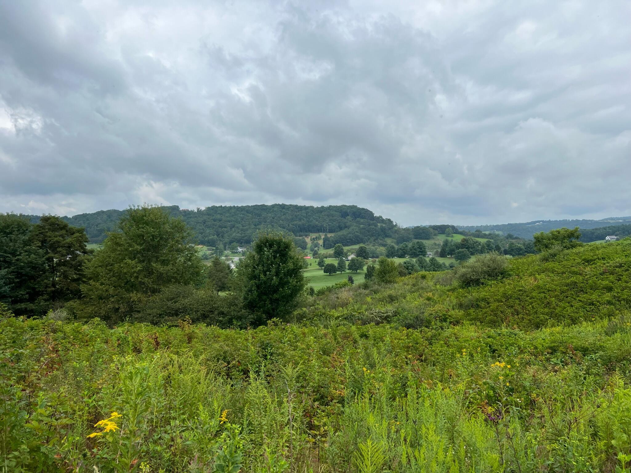 Image 1: Property