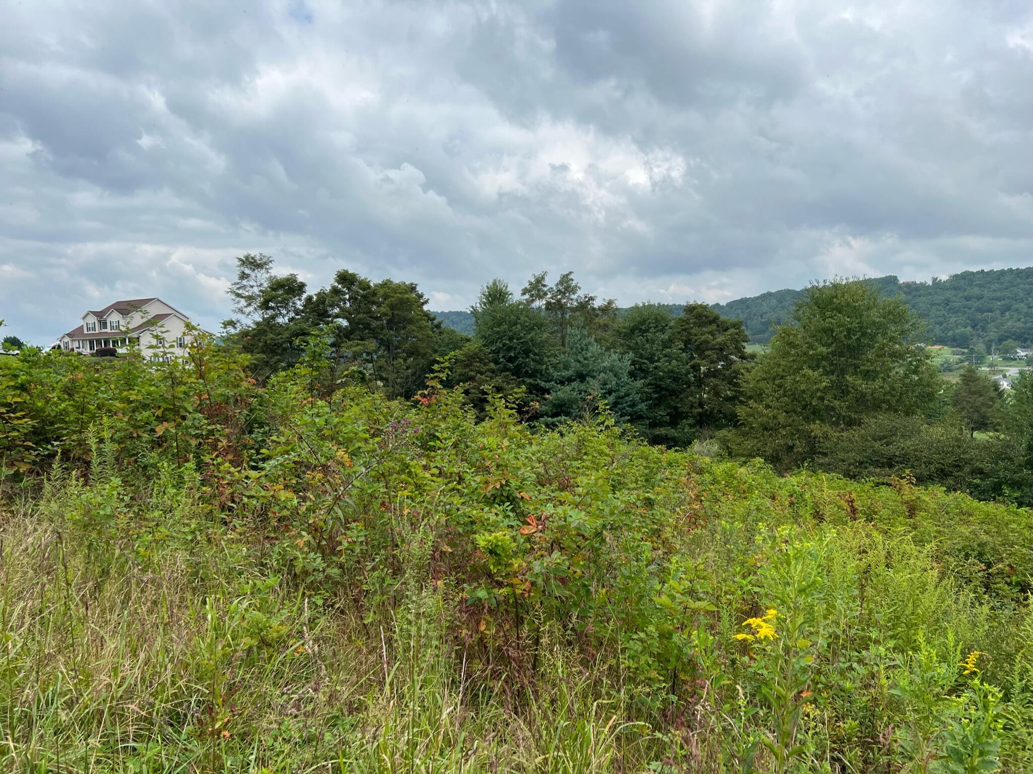 Image 2: Property