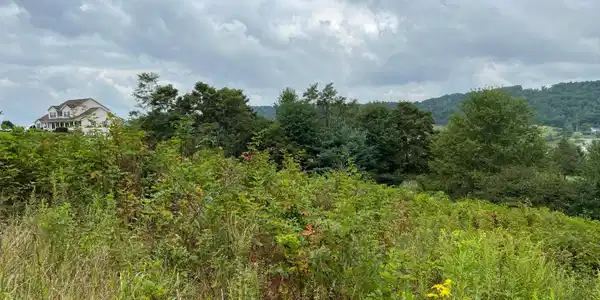 Image 2: Property