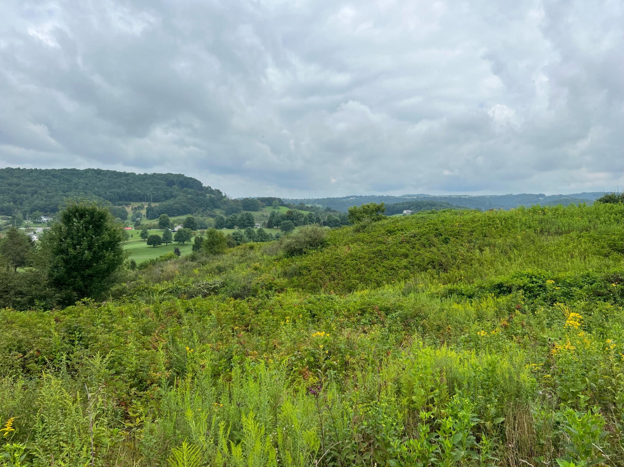 Image 3: Property