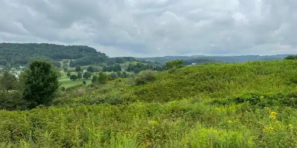 Image 3: Property