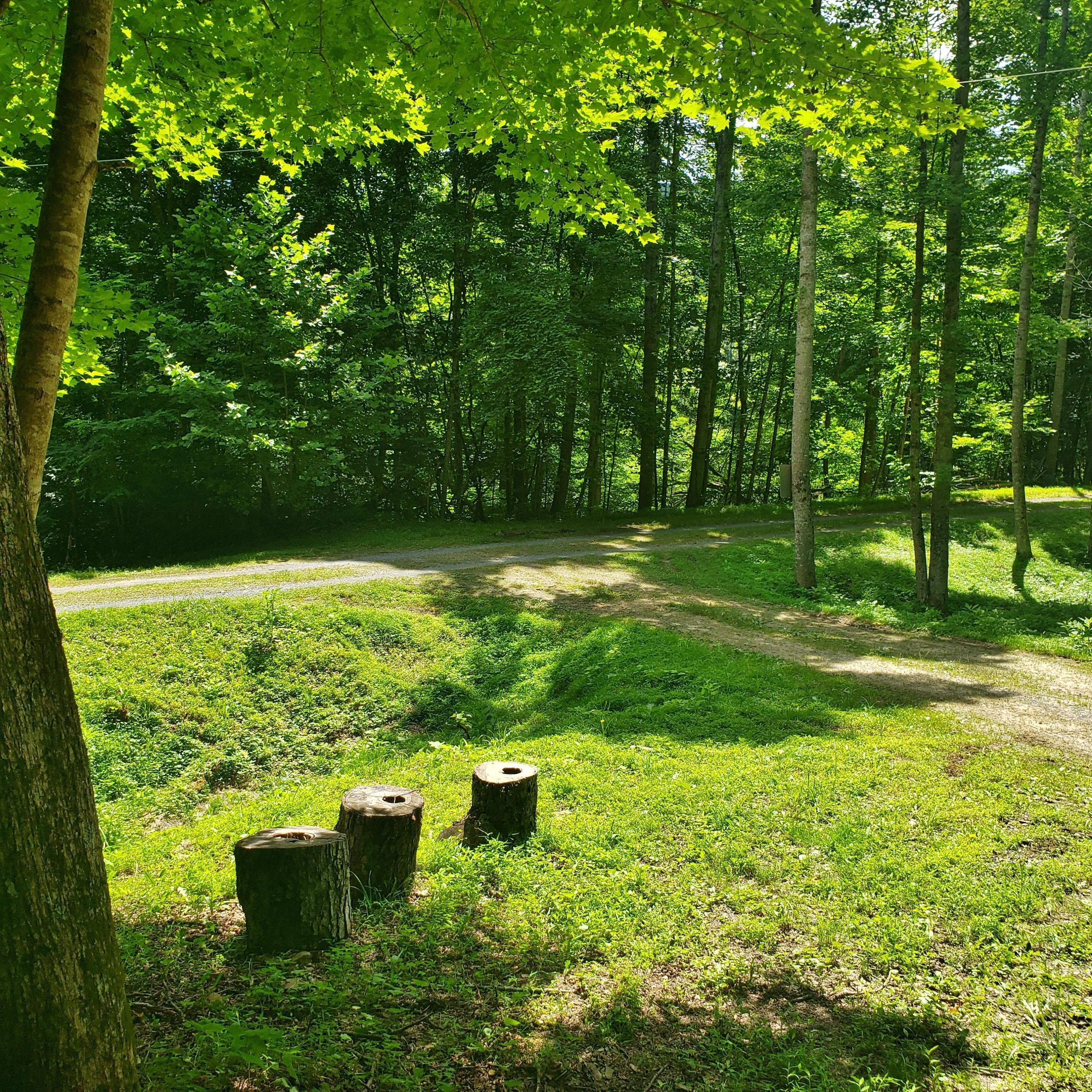 Image 4: Deeter Ridge