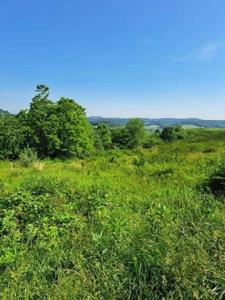 Fairway View Drive