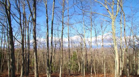 Lot 21 Wildwood Rdg