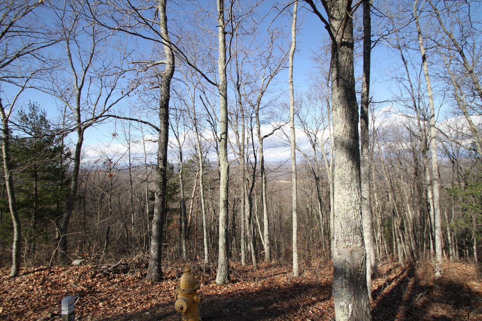 Image 2: Lot 21 Wildwood Rdg