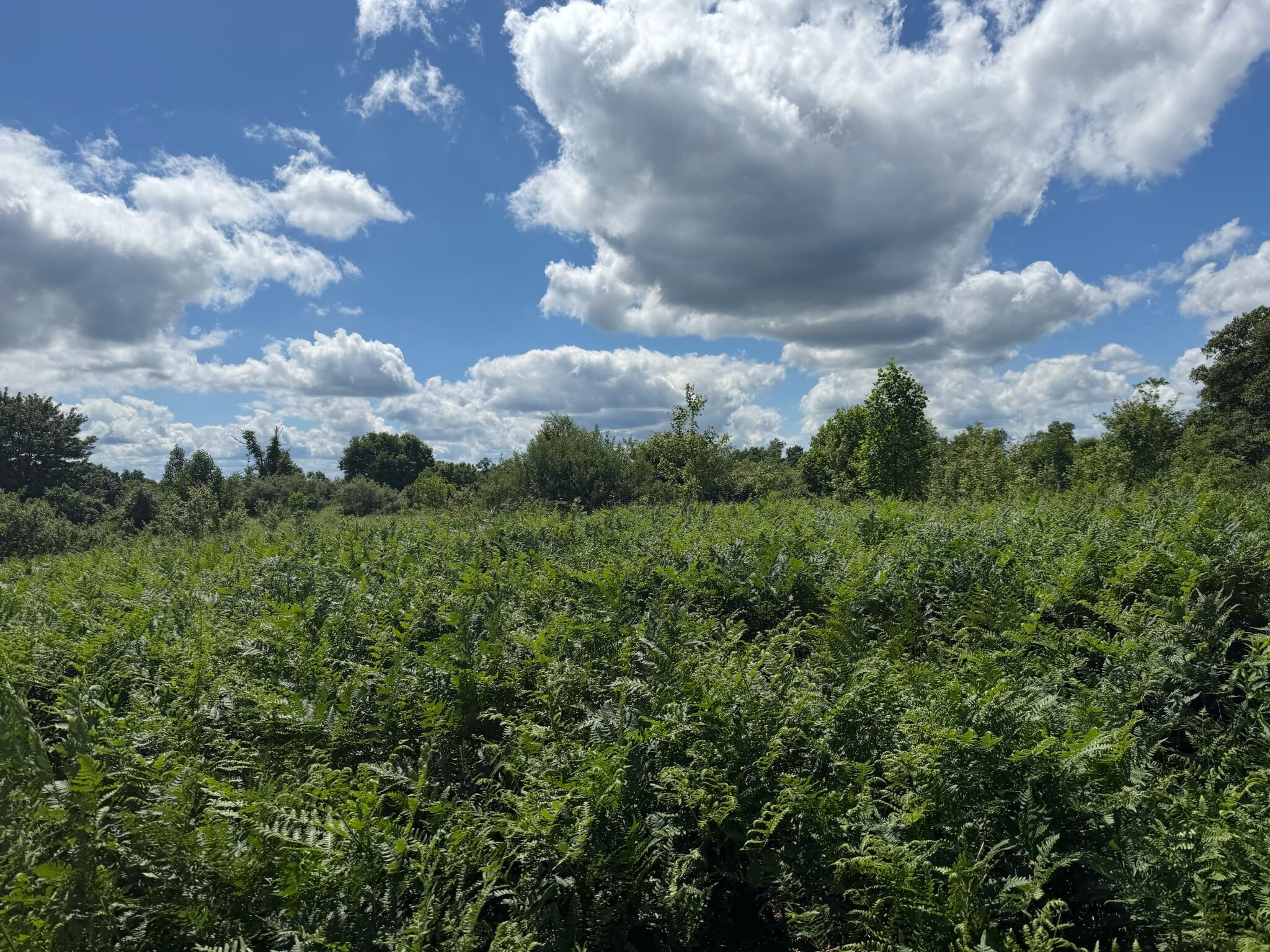 Image 1: Property