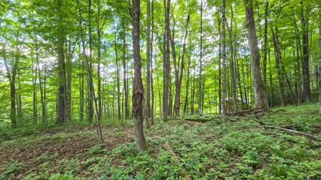 Lot 13 Lower Cherry Grove