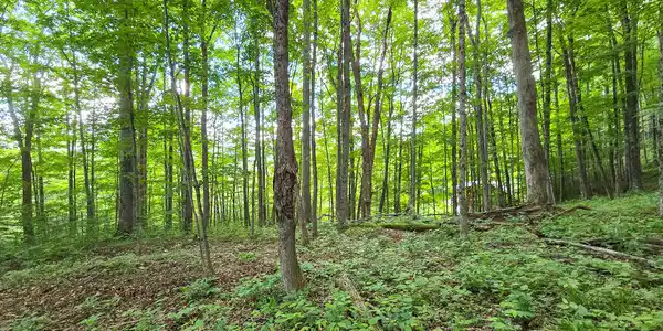 Lot 13 Lower Cherry Grove