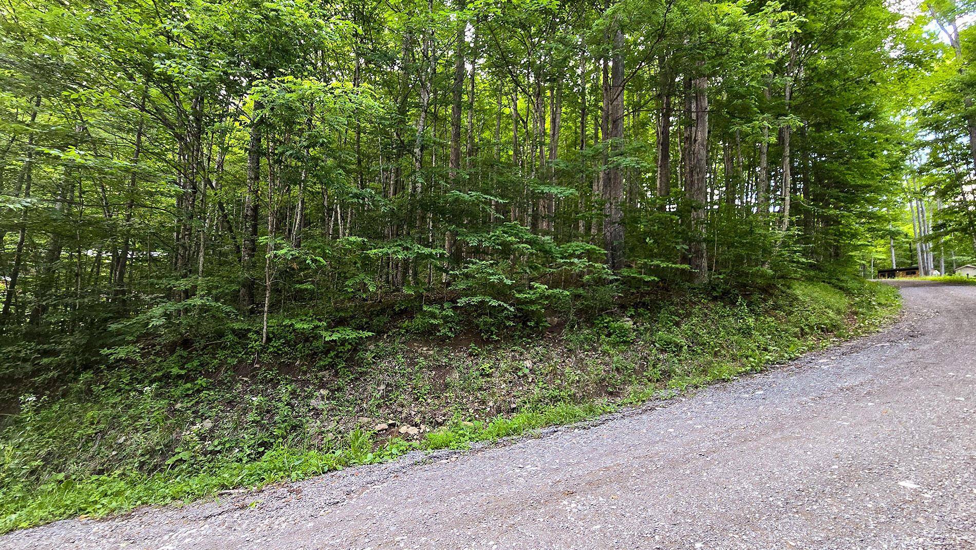 Image 2: Lower Cherry Grove Road Frontage