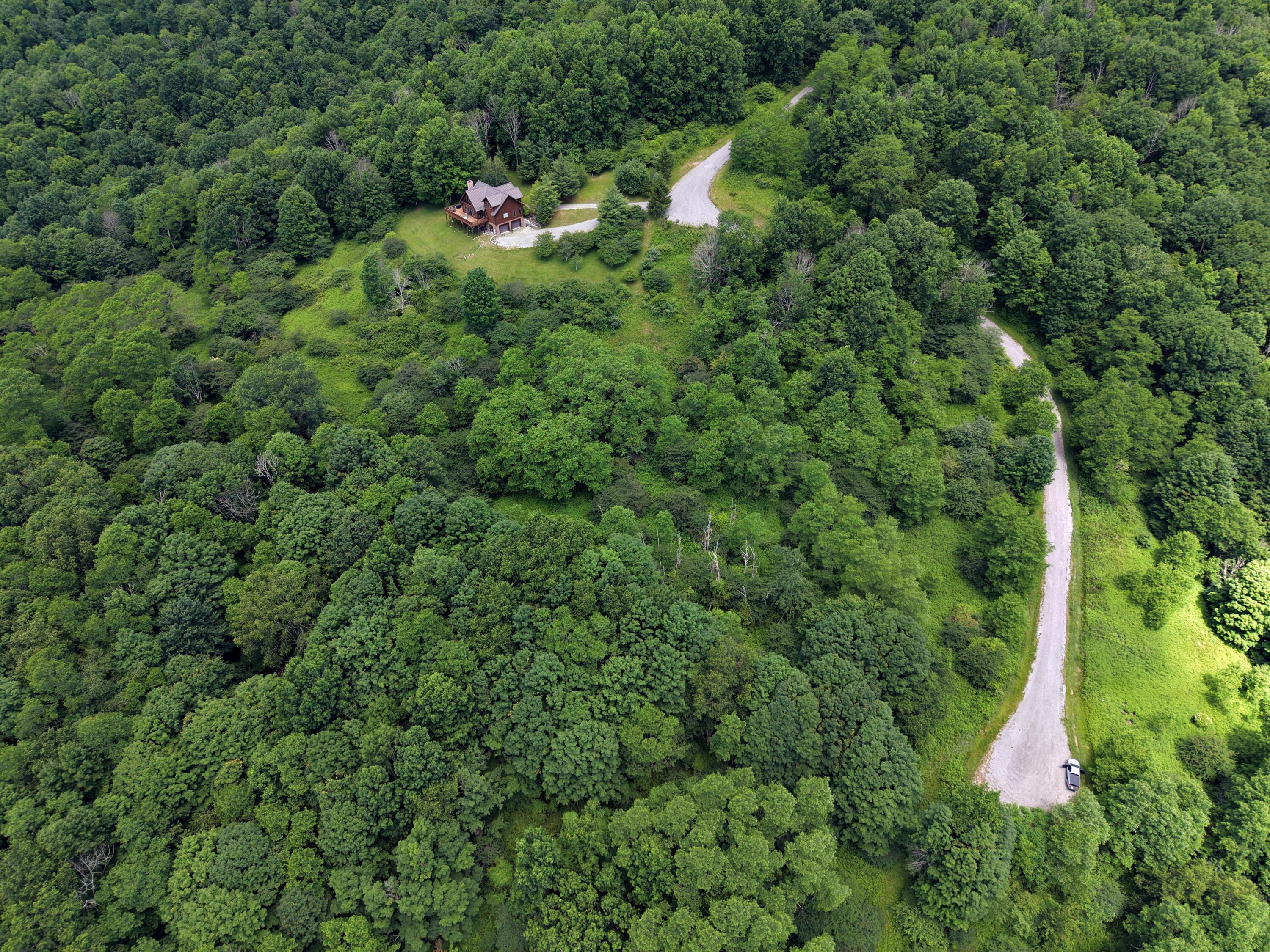 Image 1: aerial2