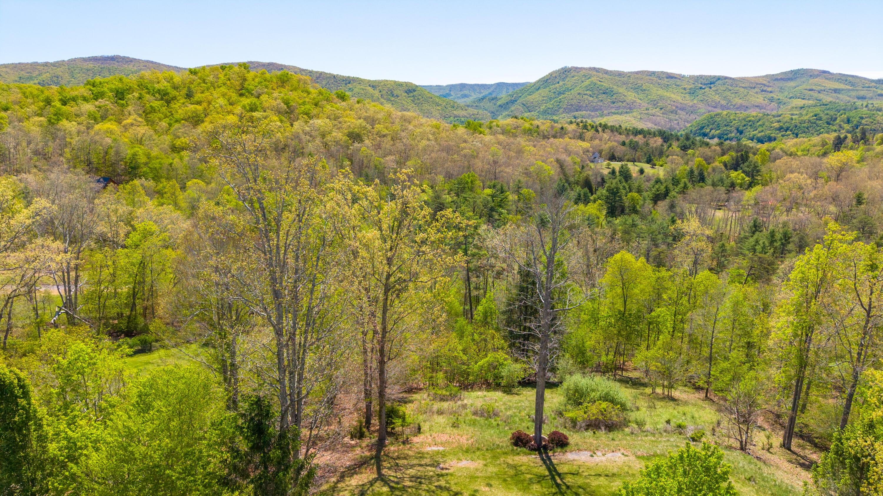 Image 1: Land For Sale Near Lewisburg WV - Aerial