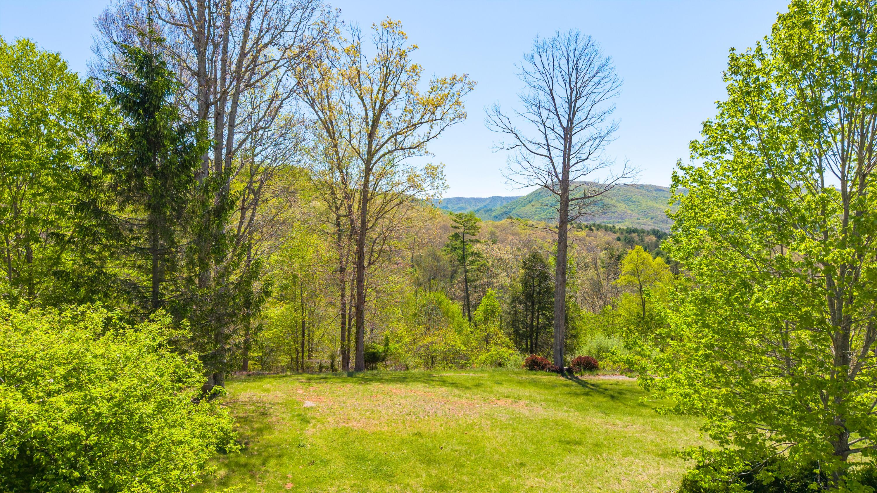 Image 4: Mountain Views Lot For Sale Caldwell WV