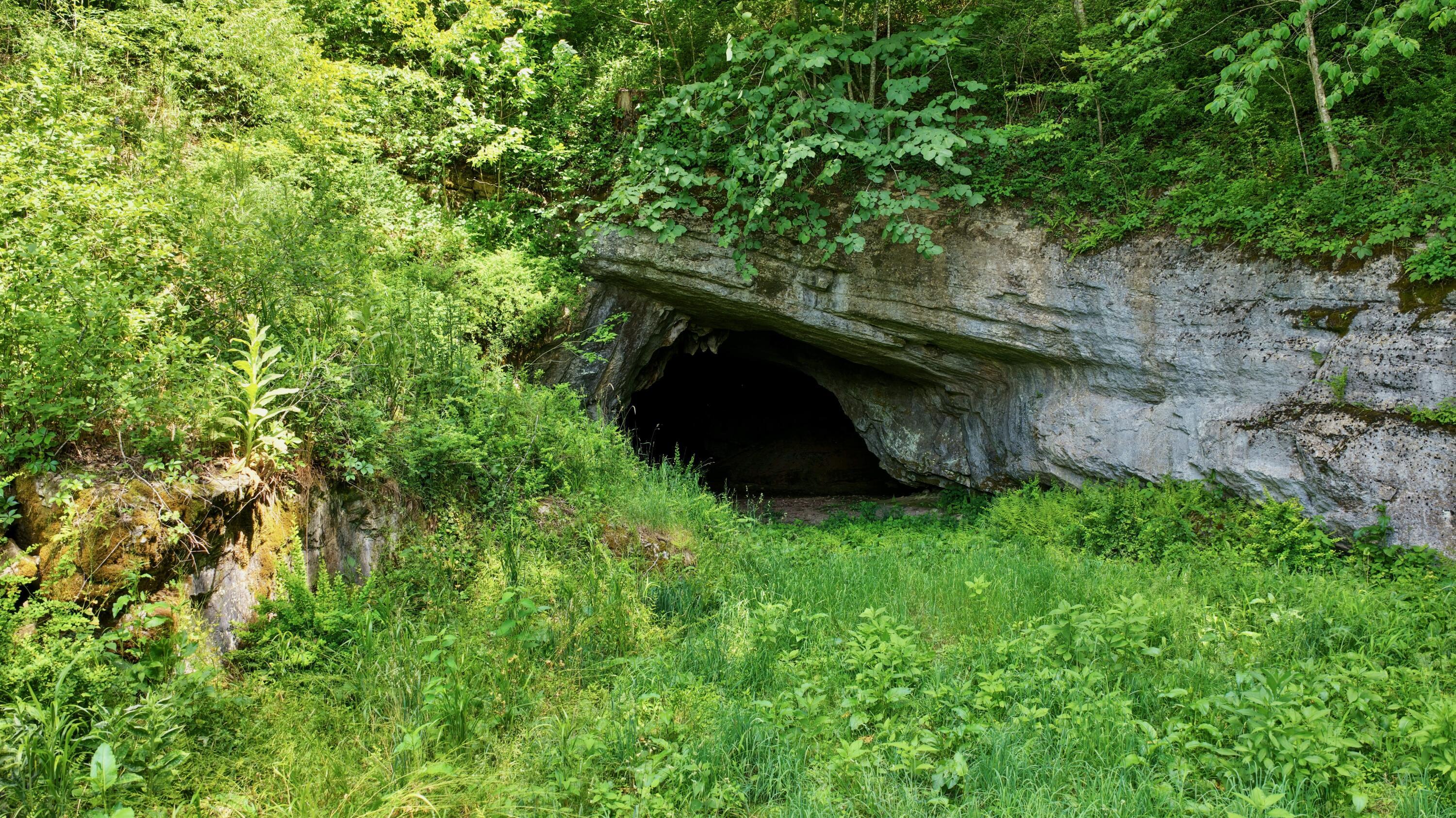 Image 2: Miller's Cave