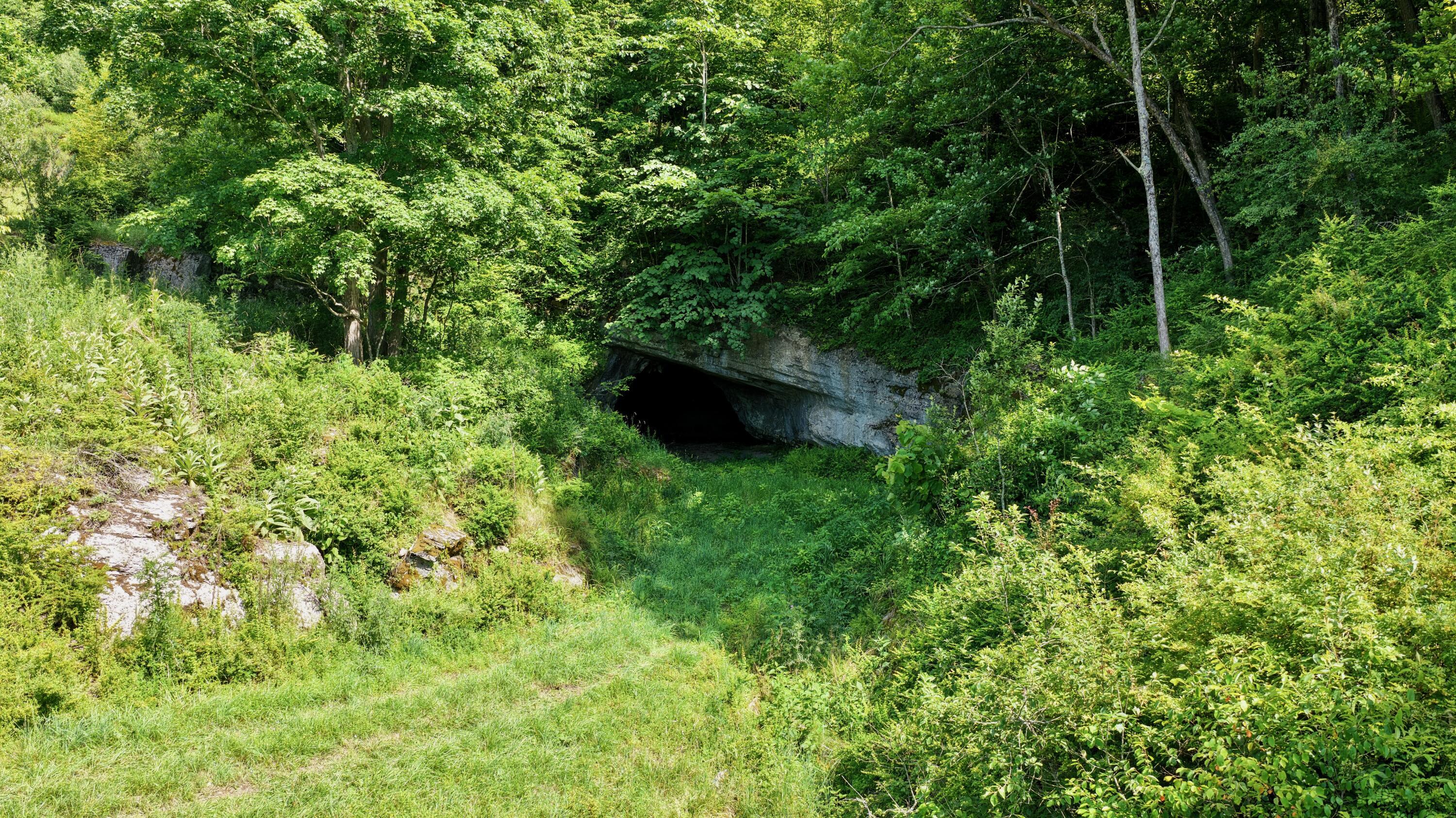 Image 3: Miller's Cave