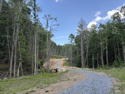151 Acres Rt 20 Pipestem Falls