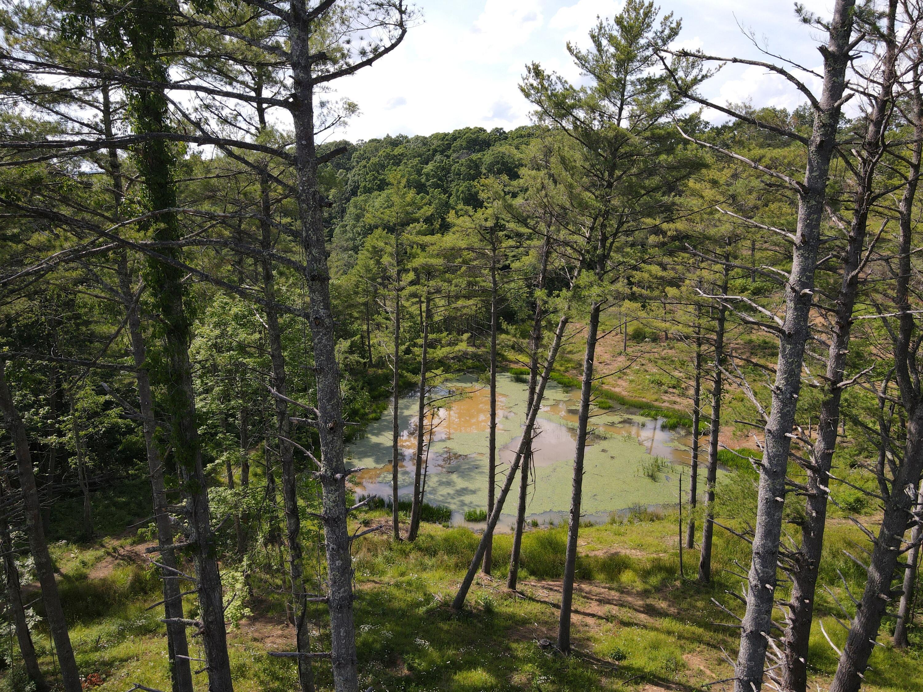 Image 3: DJI_0906