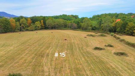 125o The Pines Drive