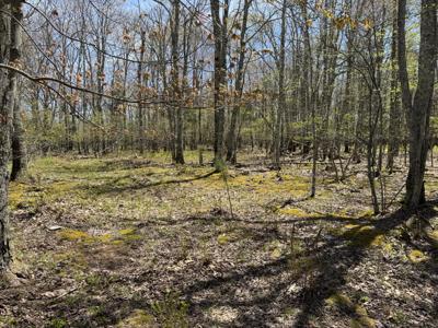 10 Hunters Ridge Rd