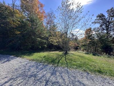 Lot 52 Bee Tree Ln