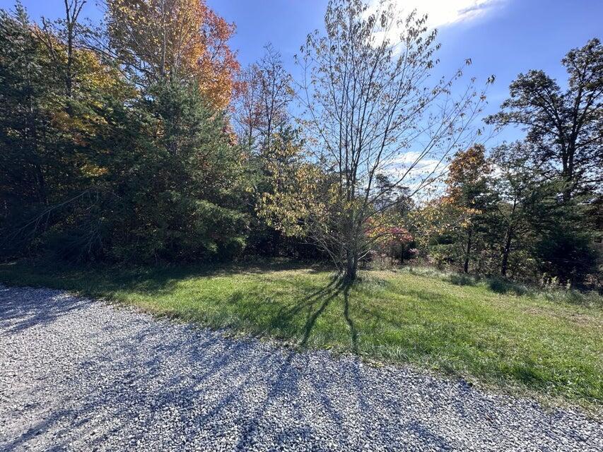 Image 1: Road