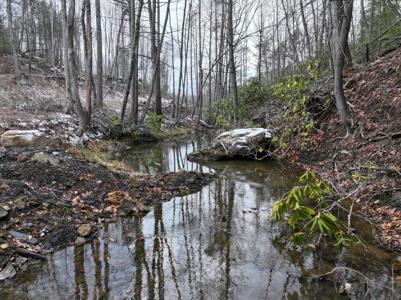 Rt 20 Pipestem Falls