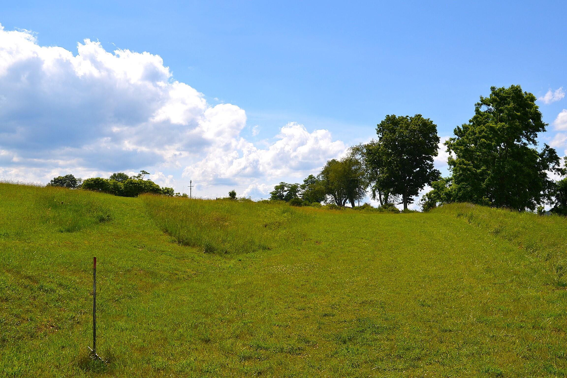 Image 2: Land View
