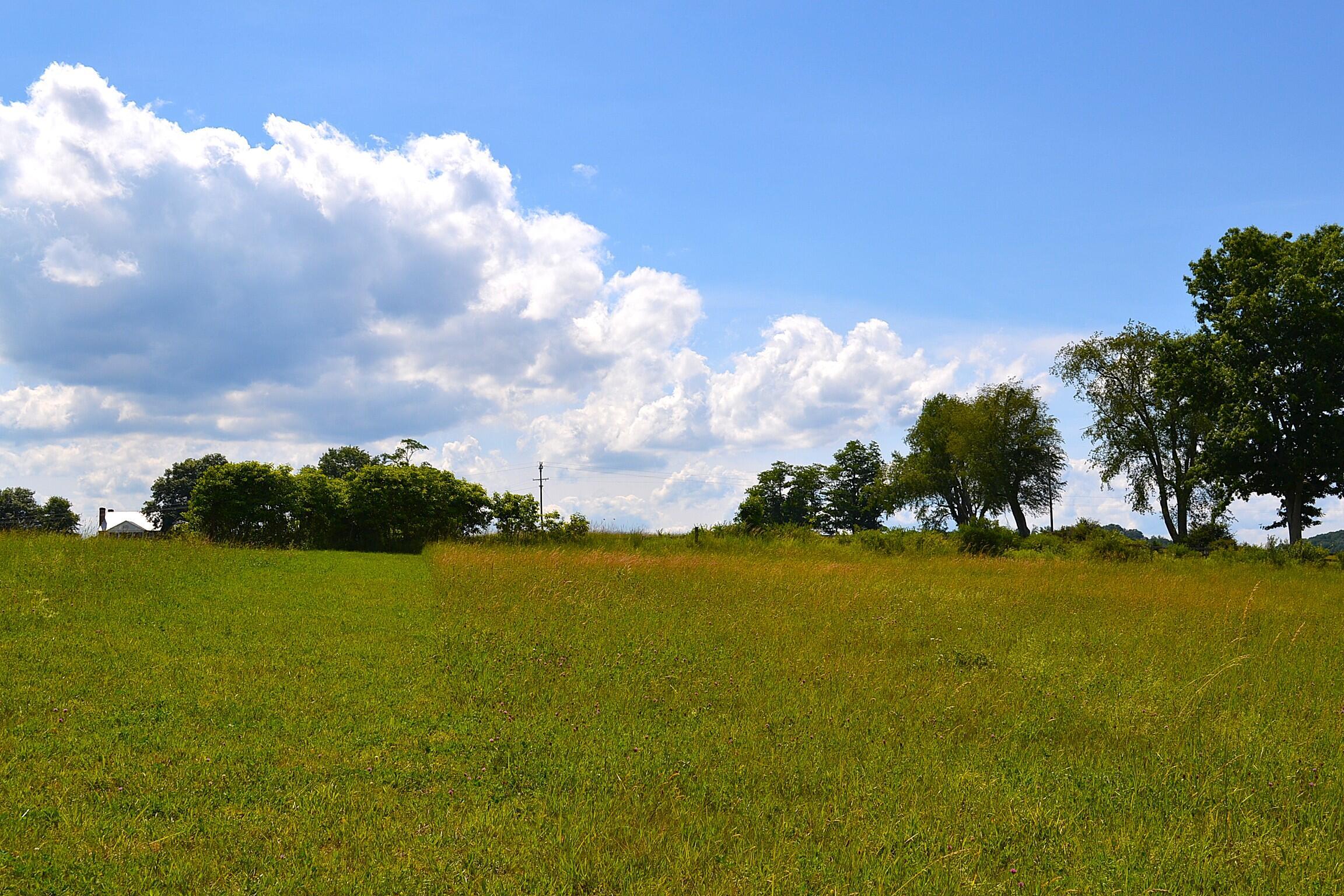 Image 3: Land View